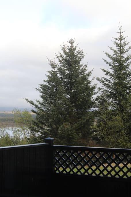 Quiet And Cozy Apartment With A Lake View Рейкьявик Экстерьер фото